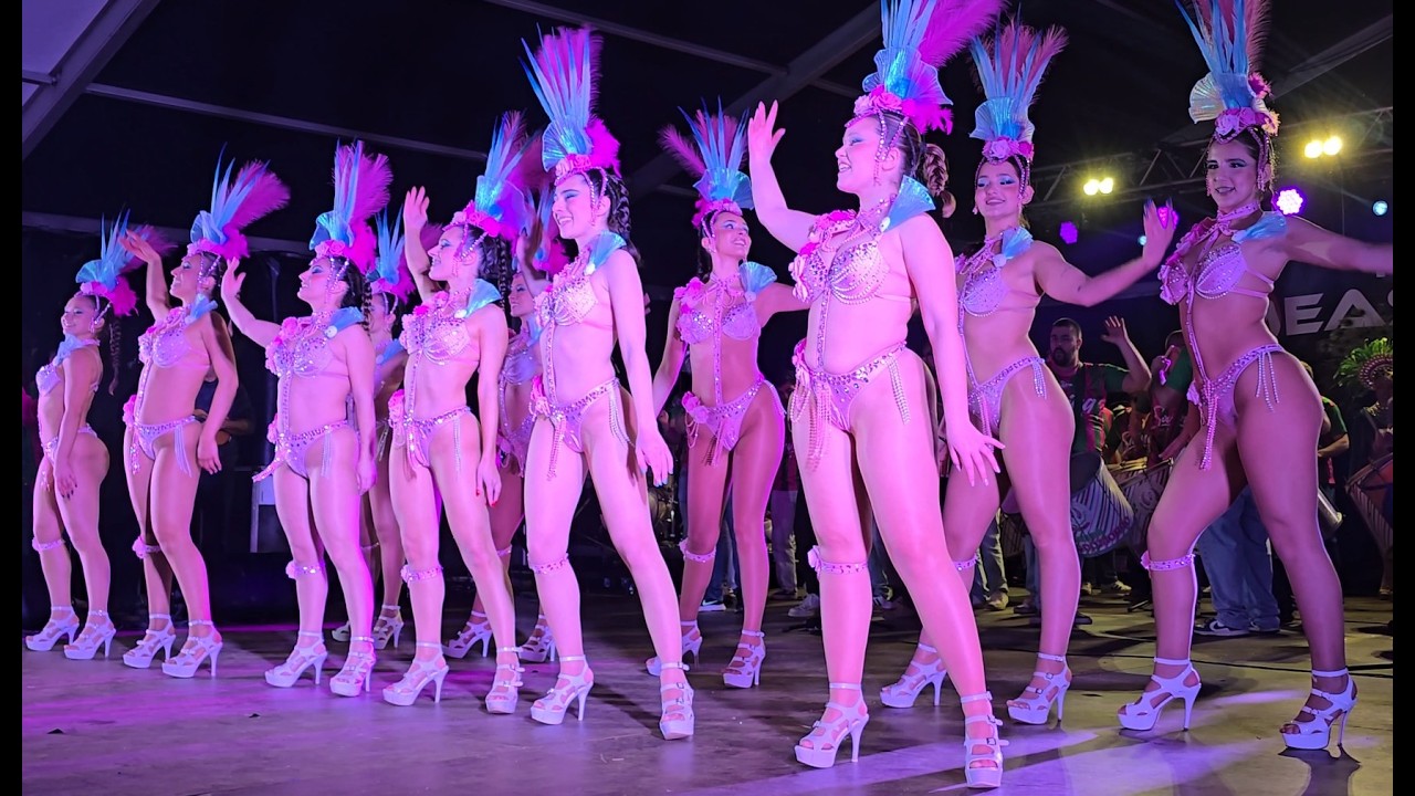 Sócios da Mangueira - Samba Enredo 2026 @Carnaval da Mealhada Apresentação Sambas 2026