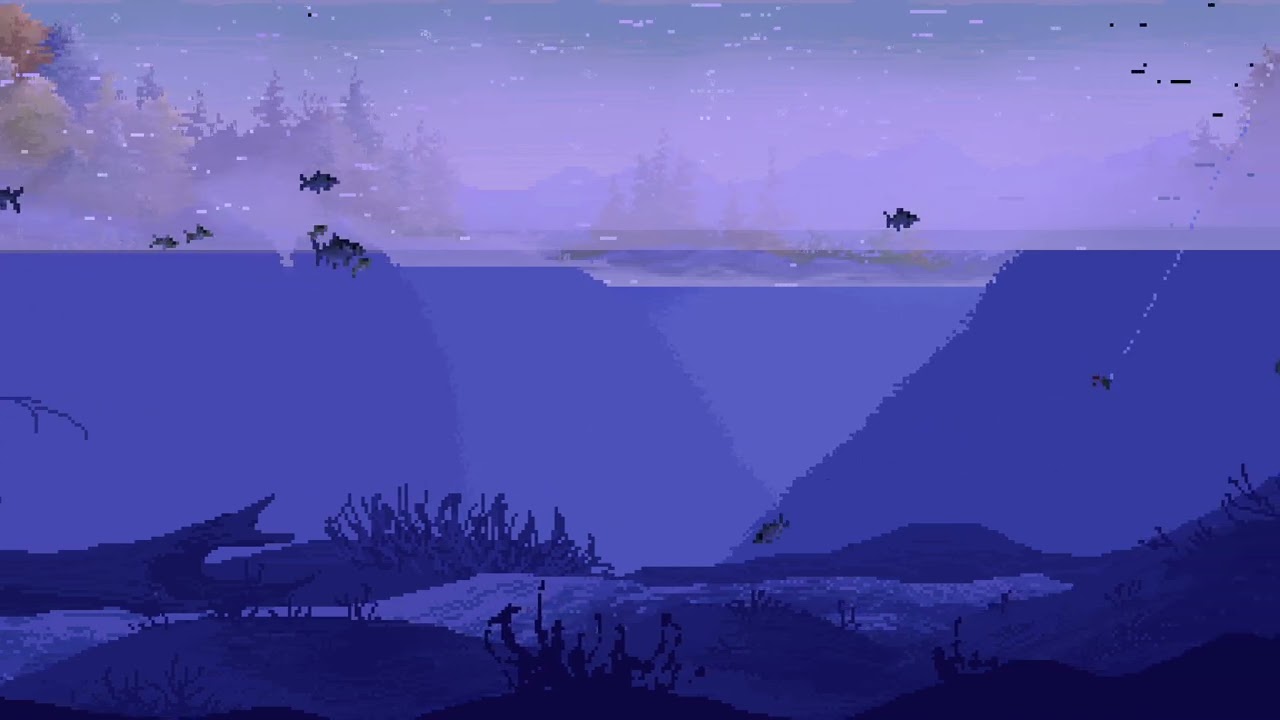 Cast n Chill - Noche estrellada para pedir deseos y pescar poquito