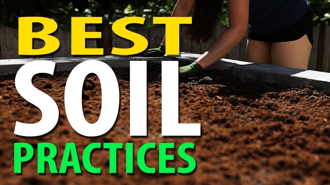 The Best Soil For Your Garden