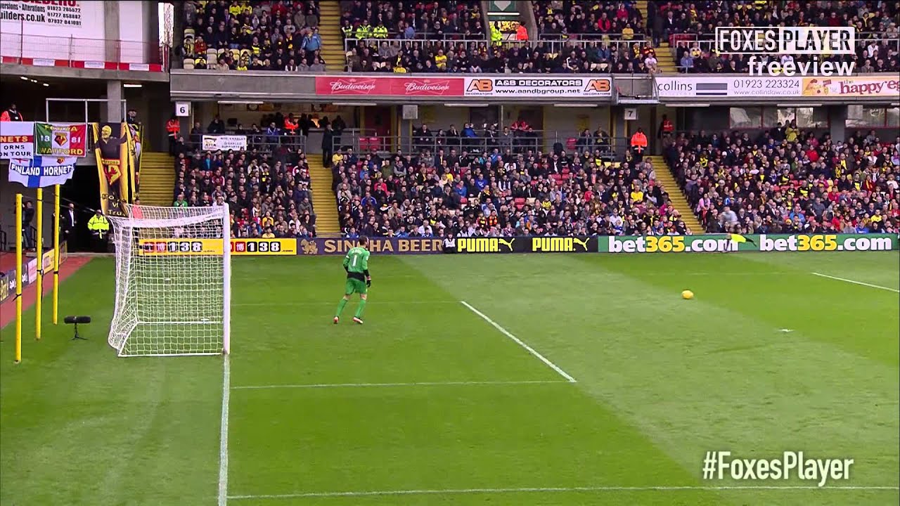 Freak Goal From Wood