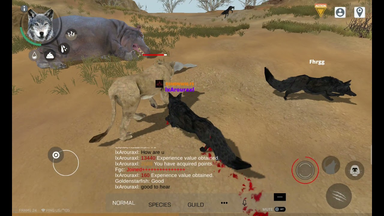 Playing wolf online 2 for some time