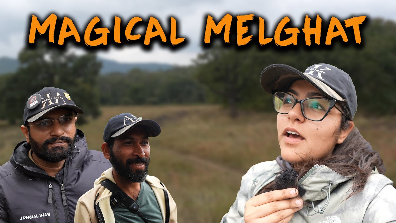 Are there Tigers in Melghat Tiger Reserve? | ATR DAILY VLOG - 61