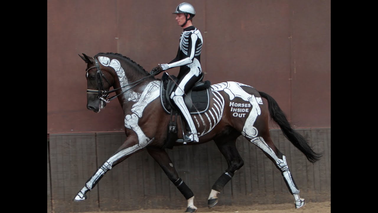 Advanced Dressage to Music - Skeleton Style