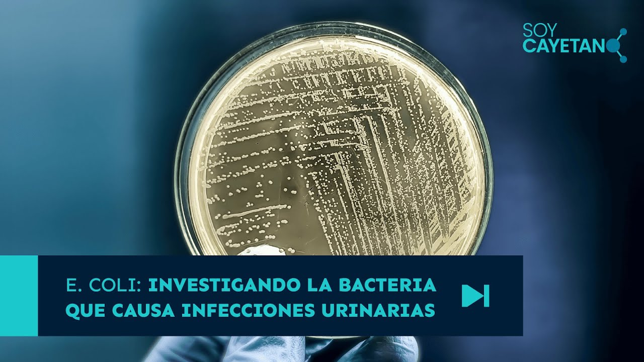 E. Coli: Investigando la bacteria que causa infecciones urinarias | Soy Cayetano