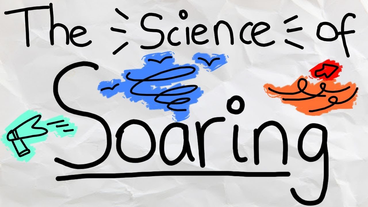 What is Soaring?