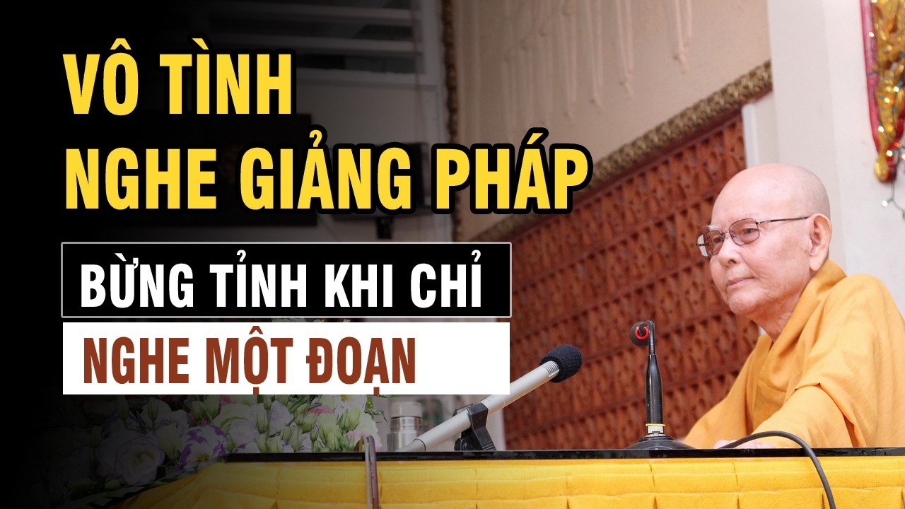 BỪNG TỈNH khi vô tình nghe giảng một đoạn pháp - Trích đoạn Đại Bát Niết Bàn 111 - HT.Từ Thông