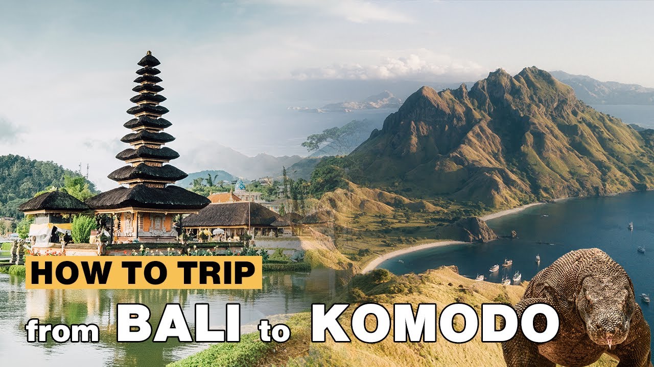 How to trip from Bali to Komodo