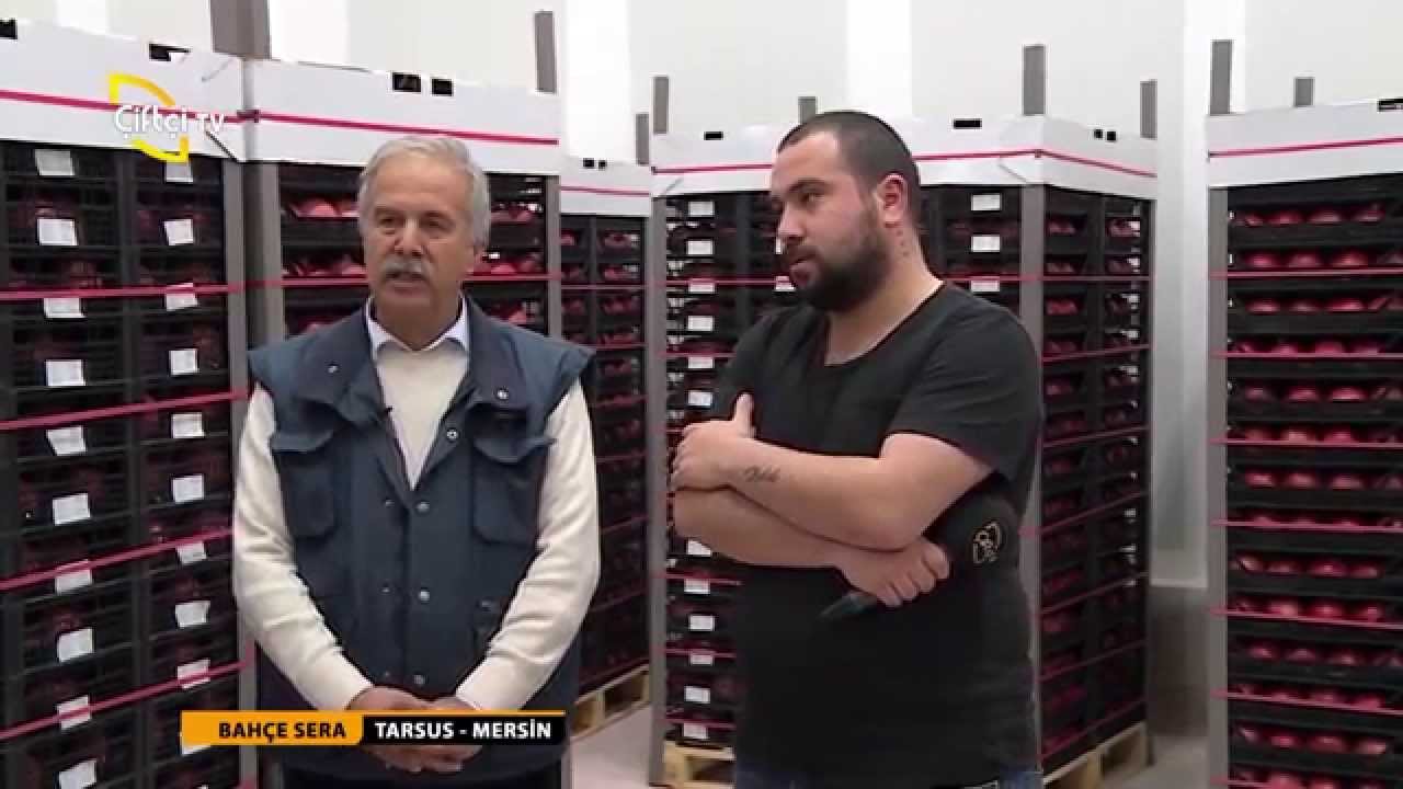 BAHÇE SERA - MEYVECİLİKTE DEPOLAMA KOŞULLARI