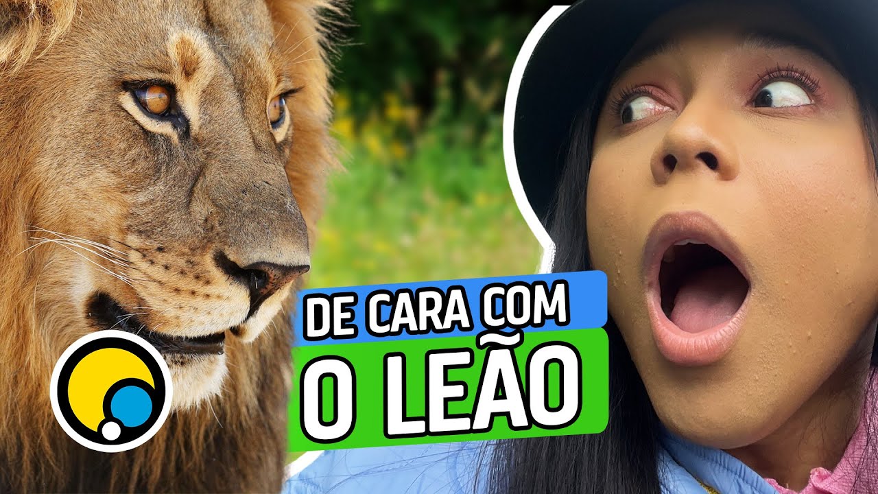 FUI NO ZOOLÓGICO | BLOGUEIRINHA