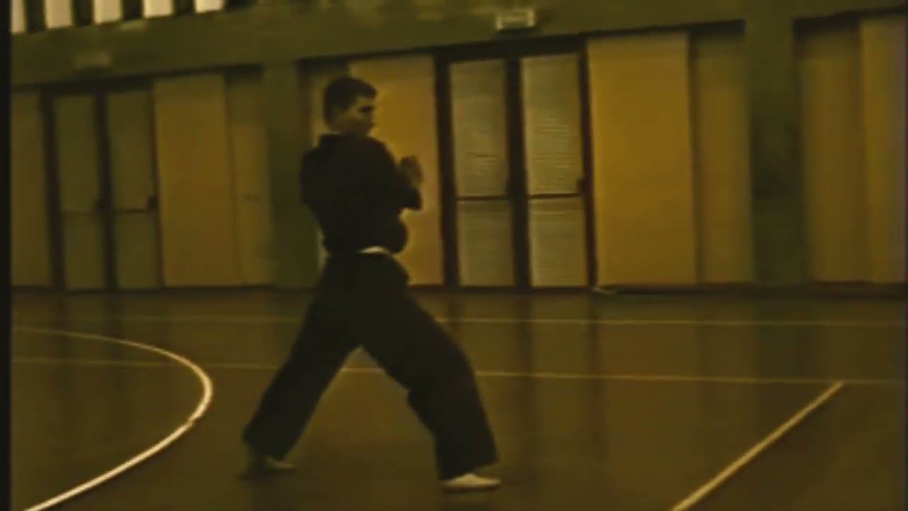 Stage Tecniche Qwan Ki Do Co Vo Dao 1995
