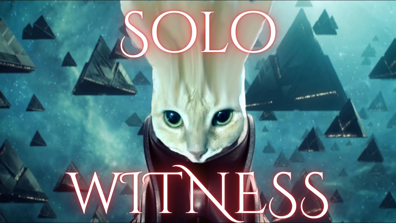 Solo Witness