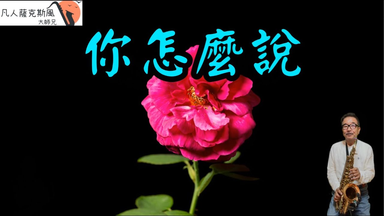 你怎麼說-凡人薩克斯風/朝陽演奏