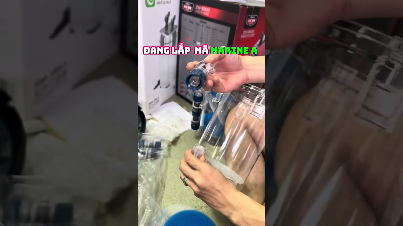 Hướng Dẫn Lắp Lọc Phụ Marine Đúng Cách