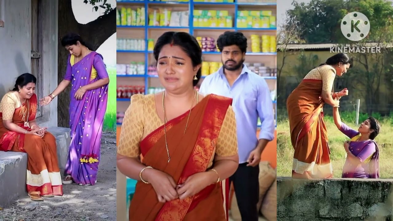 பாண்டியன் ஸ்டோர்.16.2.2026. விரட்டப்பட்டு வாழ்வை முடிக்கும் மயில். காப்பாற்றி கை கொடுக்கும் மீனா....