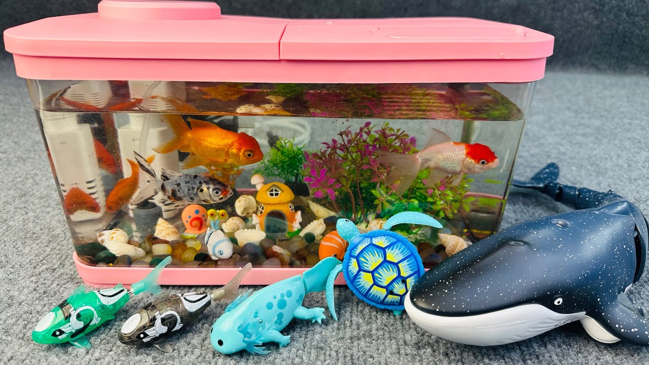 Satisfied unboxing aquarium magnetic fish robot fish whale fishing toy set ASMR | toy evaluation