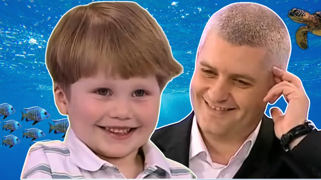 🤣 GENIAL! La doar 6 ani explică totul despre 