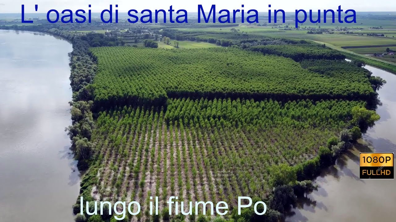 l' oasi di Santa Maria in punta (reloaded 2020) lungo il fiume Po