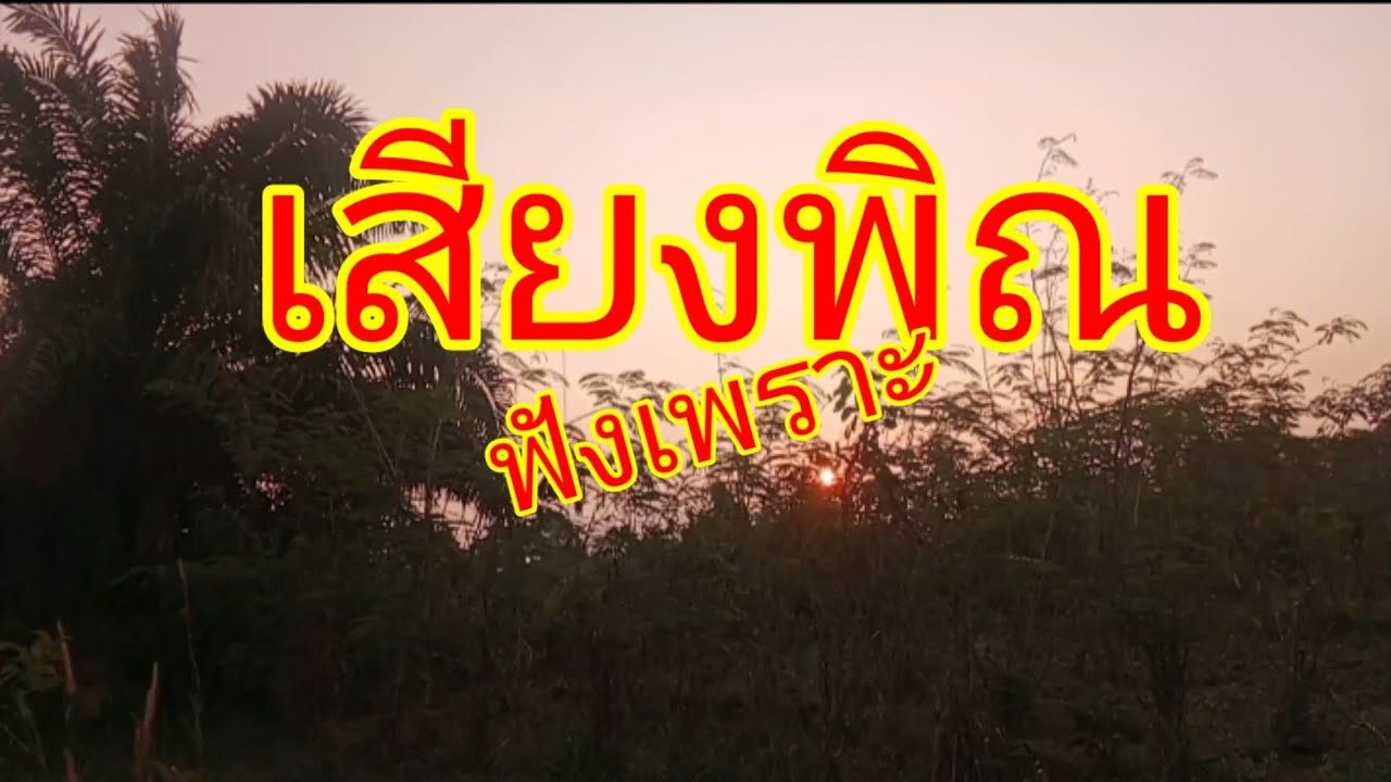 เสียงพิณฟังเพราะ