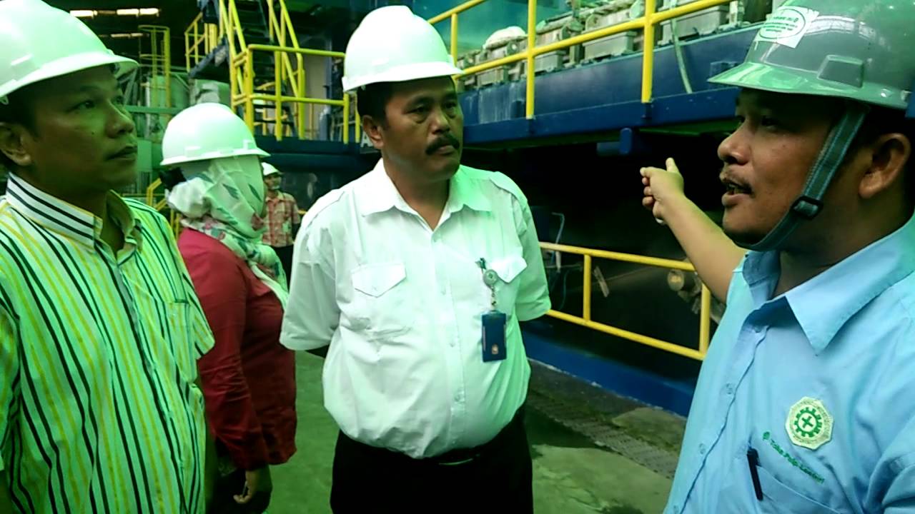 Proses Pengolahan Pulp di Perusahaan Toba Pulp Lestari