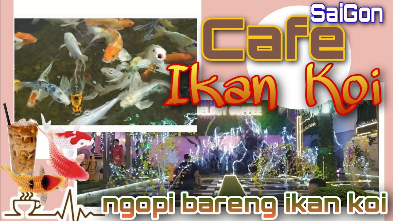 Cafe Ikan Koi Saigon - unik dan menarik