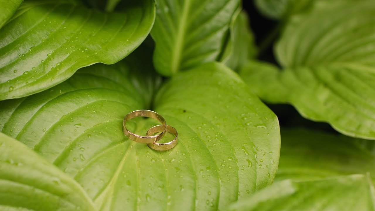 Юля + Назар Весільний кліп (26.07.25)