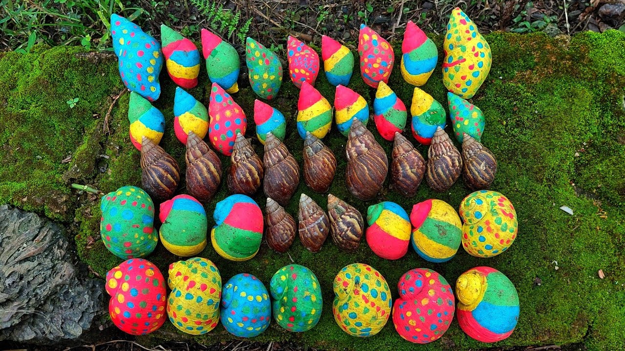 Mencari siput jumbo warna-warni dan fosil siput warna-warni 😱🌈 #siput #animals #bekicot 