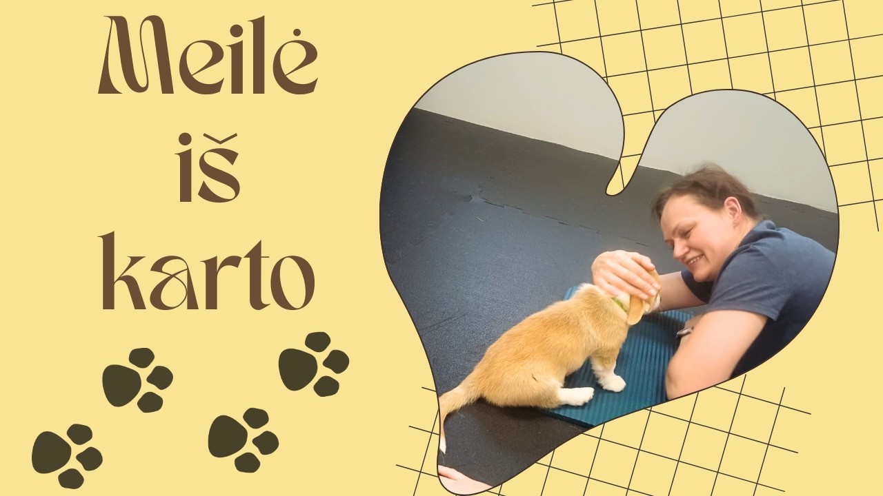 🌸Gėlės ir meilė iš pirmo žvilgsnio | Šeimos pagausėjimas 🐶