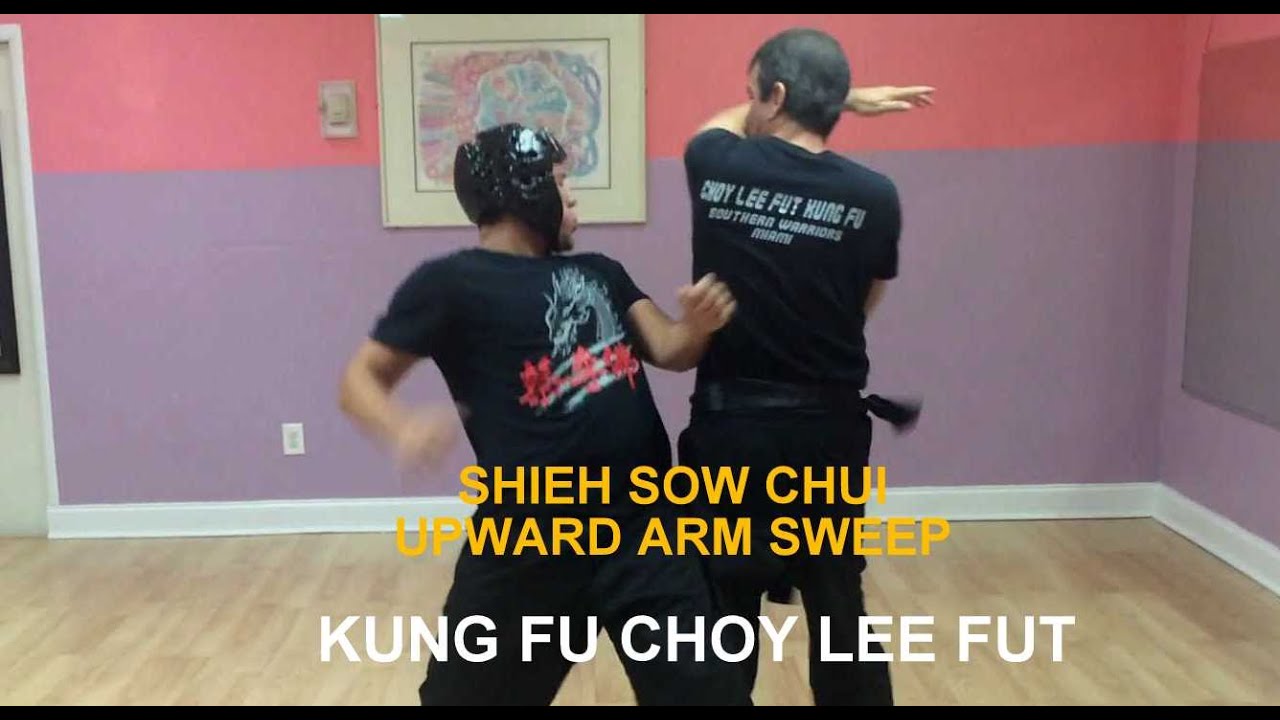 Kung Fu Choy Lee Fut Upward Arm Sweep