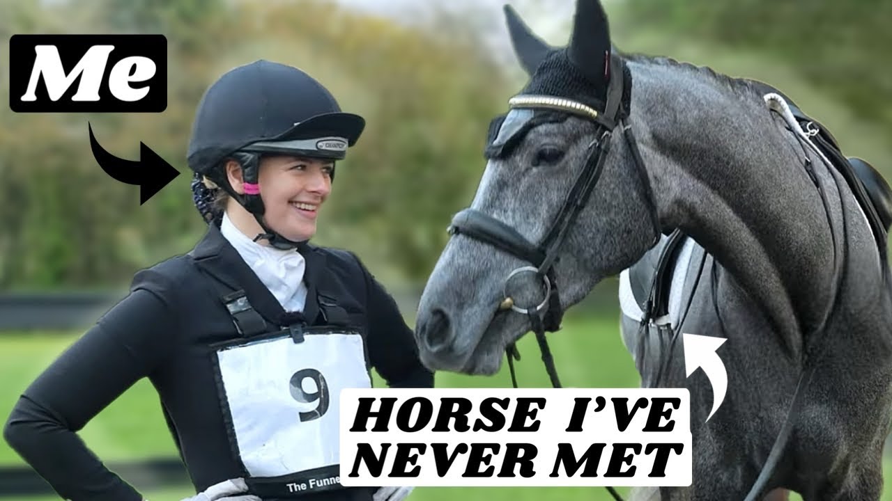 Competing a “Random” 4 Year Old Horse