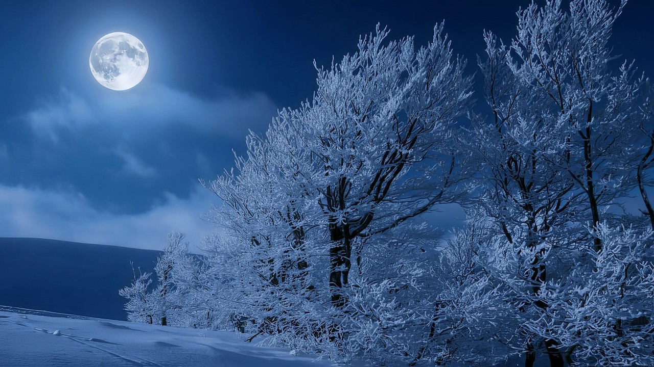 Winter Forest Deep Sleep Music Moonlit Snowfall 1080p