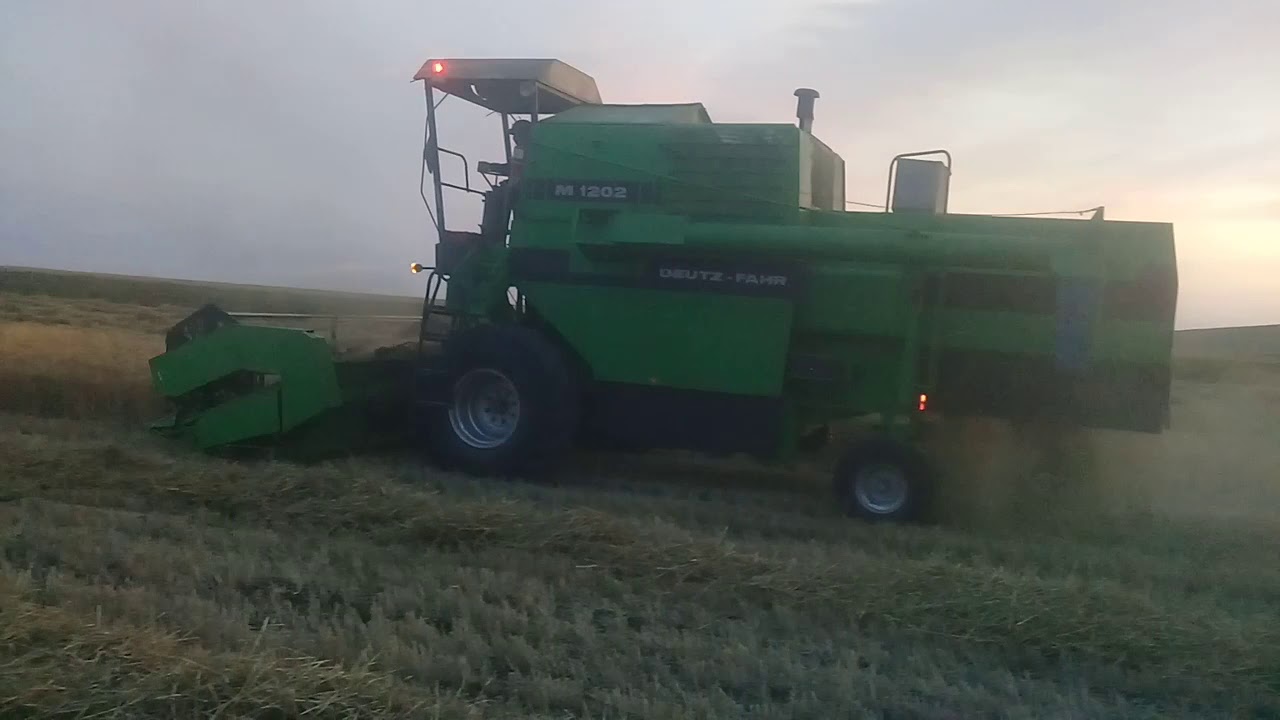 موسيقا هادئة مع الة حصاد Deutz-fahr 1202😍