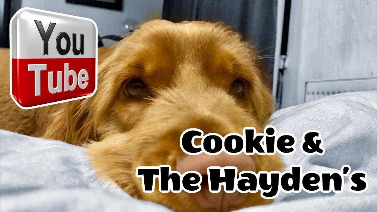 Welcome To Cookie & The Hayden's Youtube Channel **NEW TRAILER**