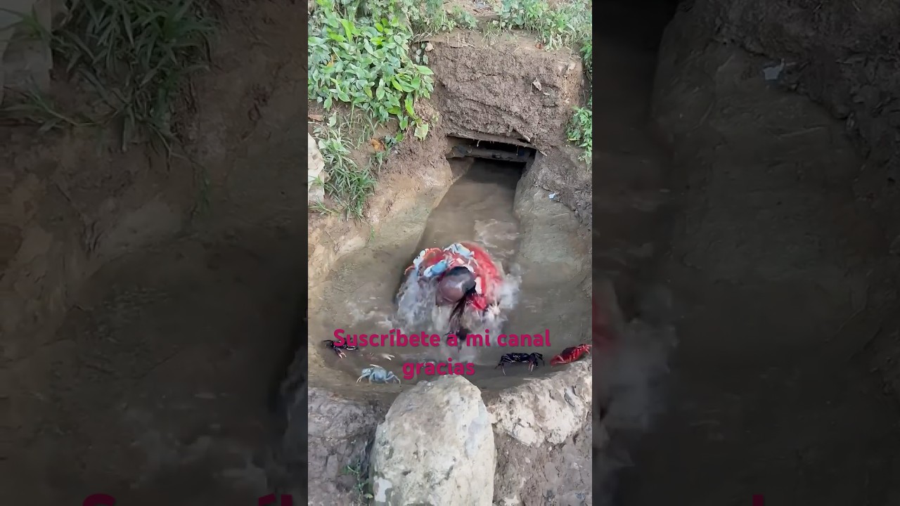 Hombre que se mete en hoyo ac&aacute; Cangrejo Cangrejo le caminan en s&iacute; y lo muerden todo el cuerpo🦀🦀￼