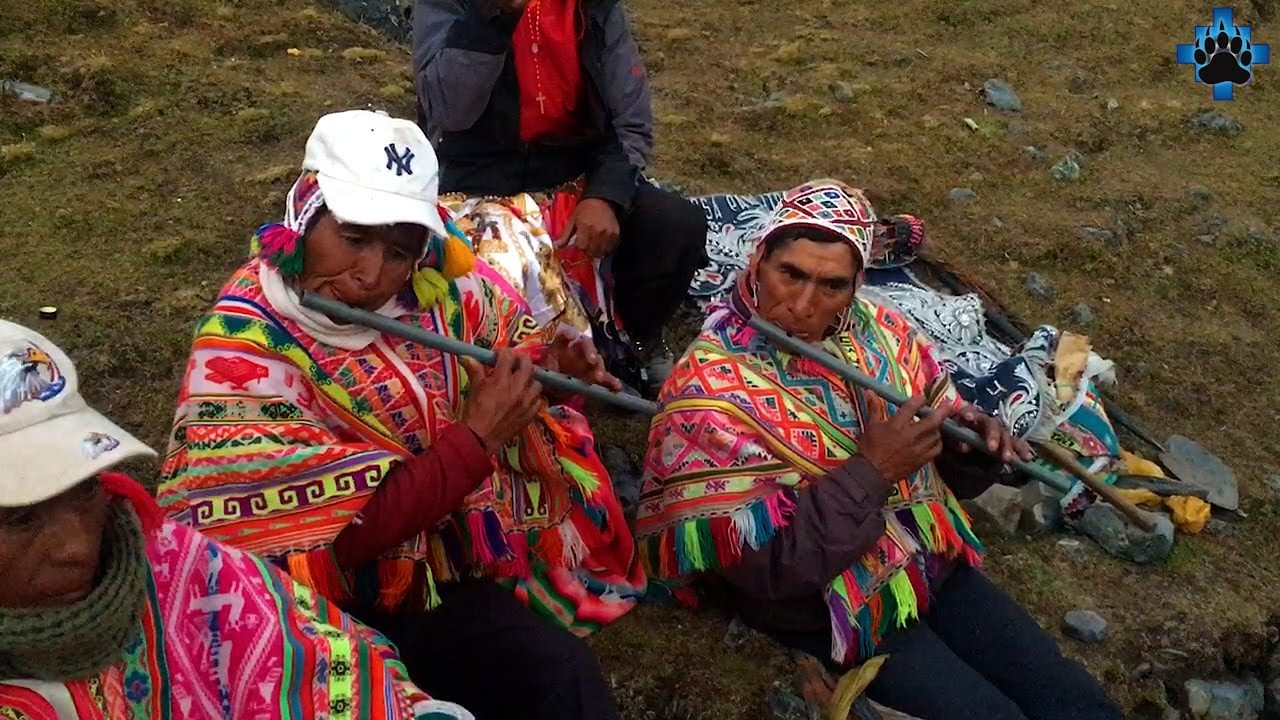 Chaquiry Wairy - músicos Señor de Qoyllority