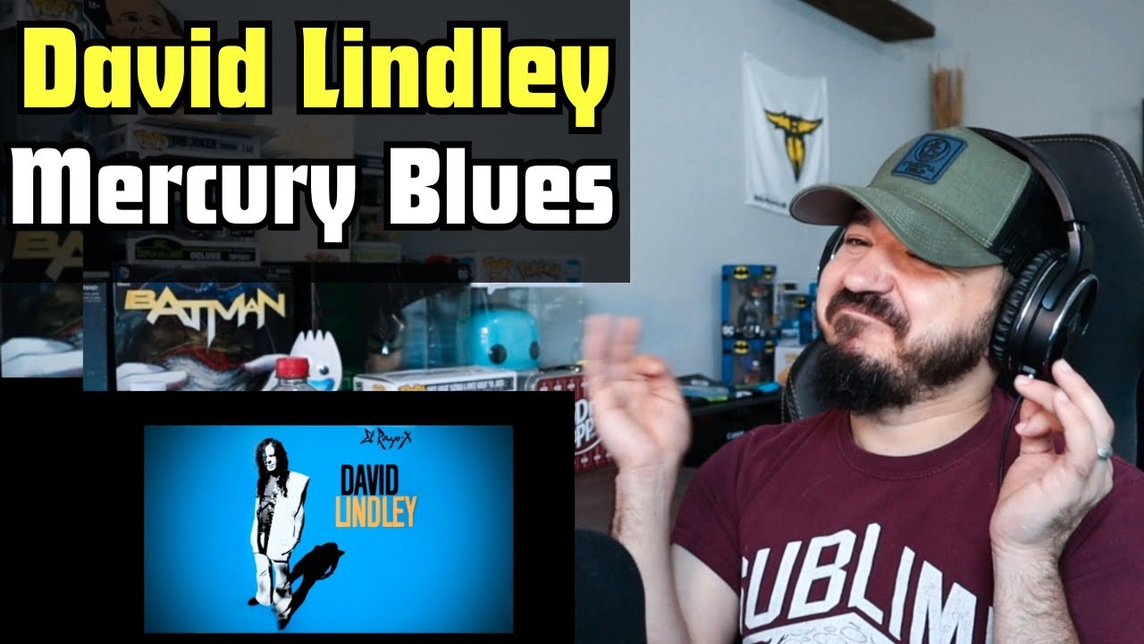 DAVID LINDLEY - Mercury Blues | FIRST TIME REACTION