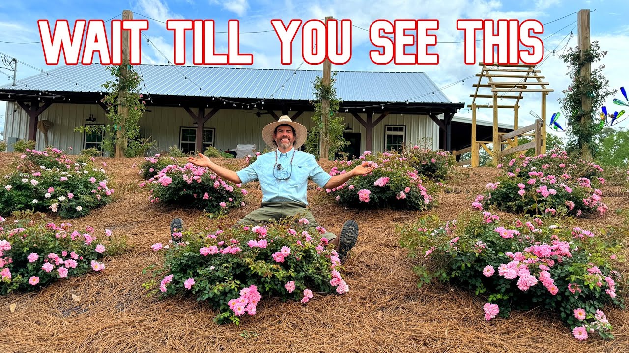 NEW Farm & Garden Tour of Our Small Farm in the Spring (Cannot Wait To Show You This)