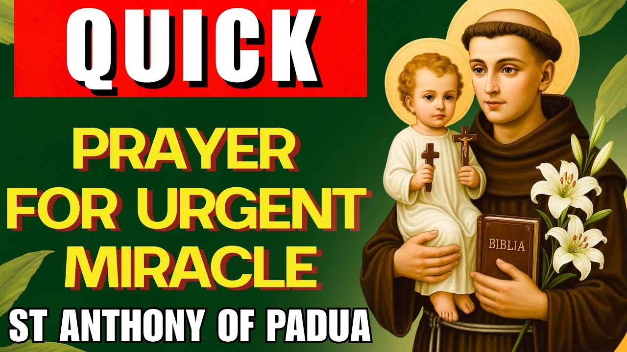 🙏 A STRONG PRAYER TO RECEIVE QUICK AND URGENT MIRACLES | PRAYER TO ST ANTHONY🙏
