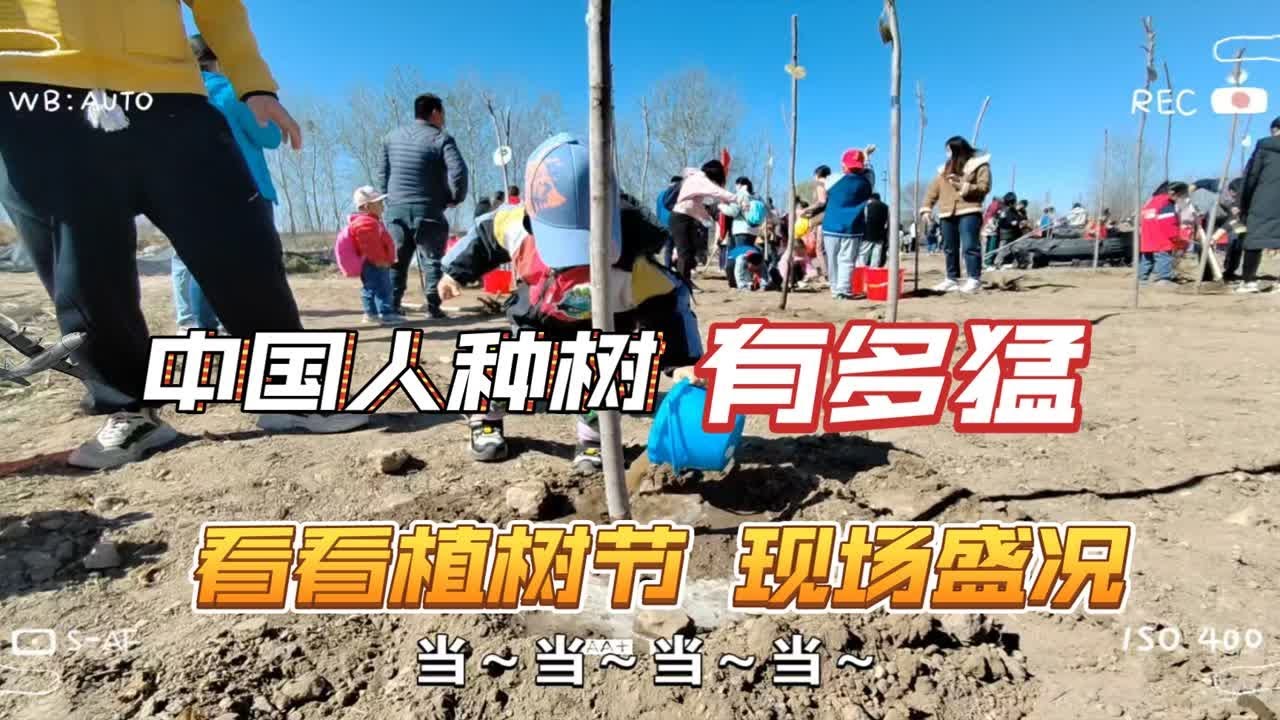 中国人种树有多猛？来看看植树节现场盛况