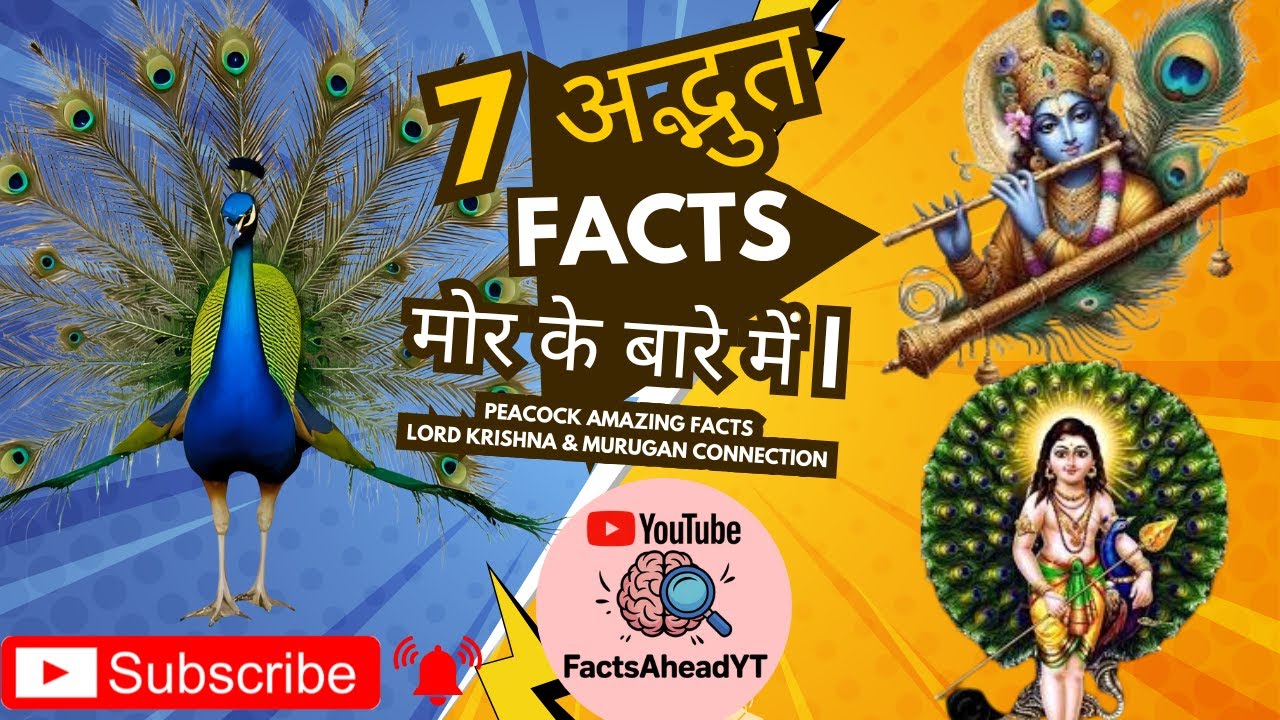 7 अद्भुत Facts मोर के बारे में   Peacock Amazing Facts   Lord Krishna & Murugan Connection