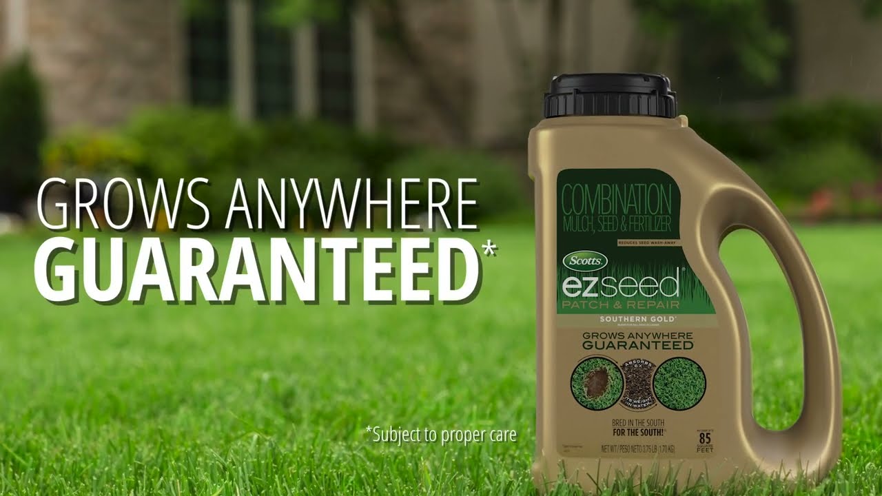 How To Use Scotts&reg; EZ Seed&reg; Patch & Repair Southern Gold&reg;