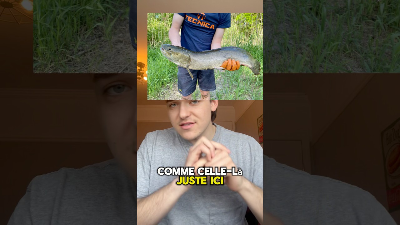 Le poisson Castor 🎣 