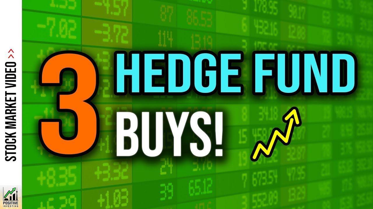 Best Hedge Fund Stock Picks (Potential Massive Gains) 💰