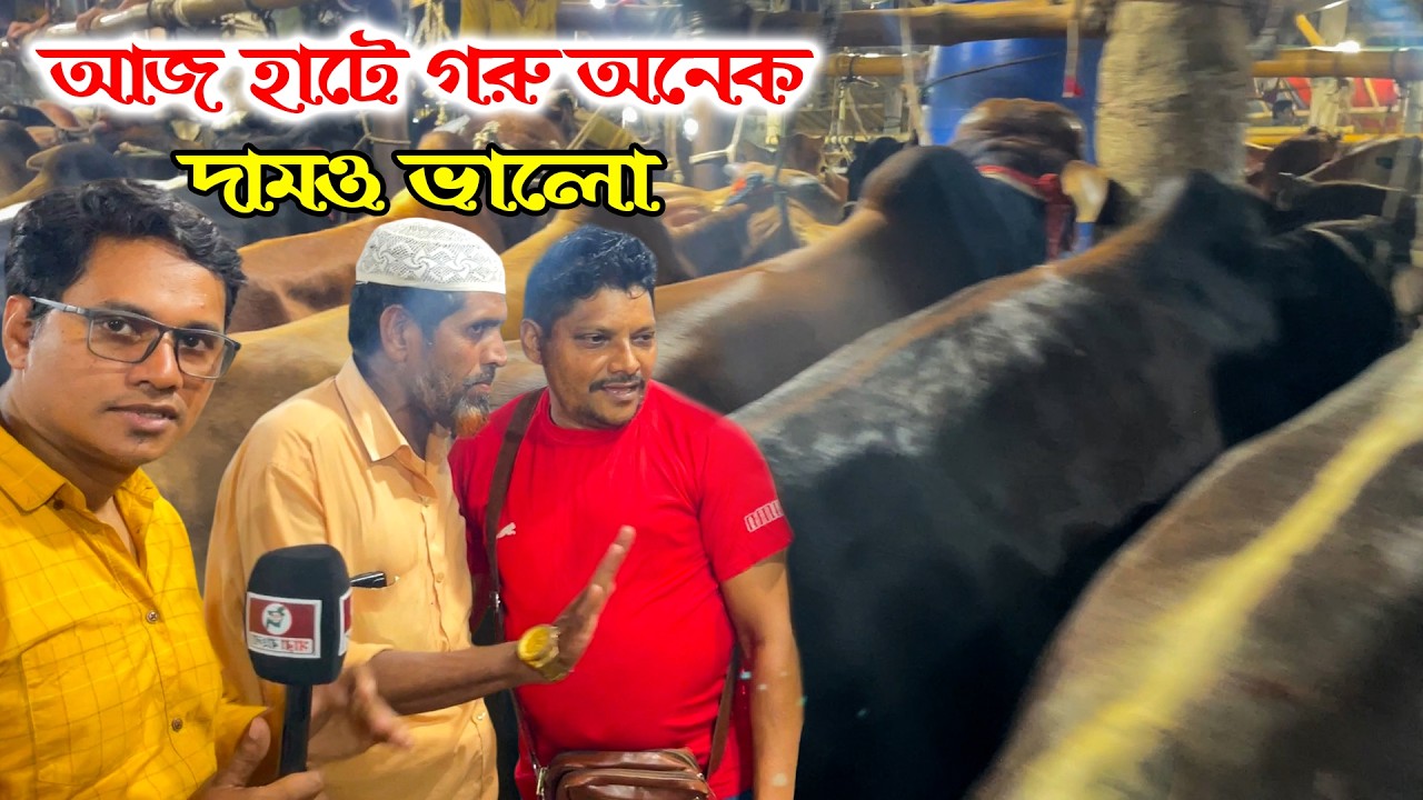 আকরাম ভাইকে তারেক জিয়ার কাছ থেকে টাকা এনে গরু কিনতে বলছে গাবতলির রকি ভাই
