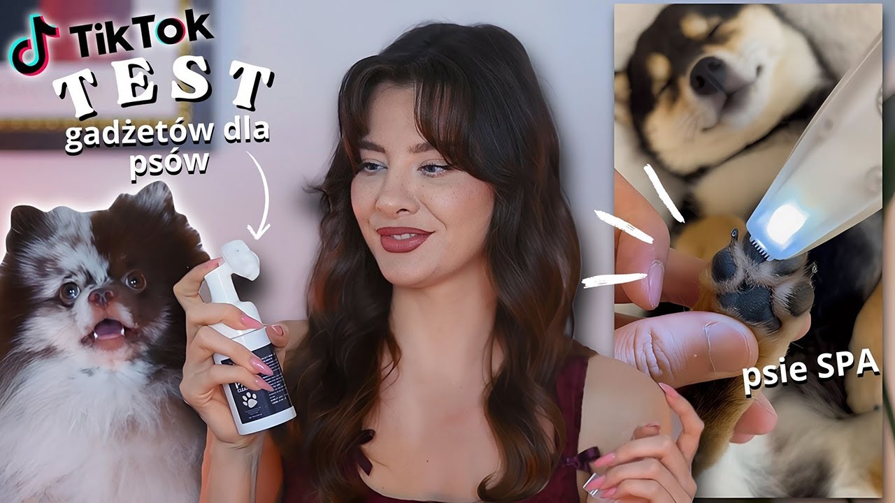 Test gadżetów dla psów z tiktoka 🐶