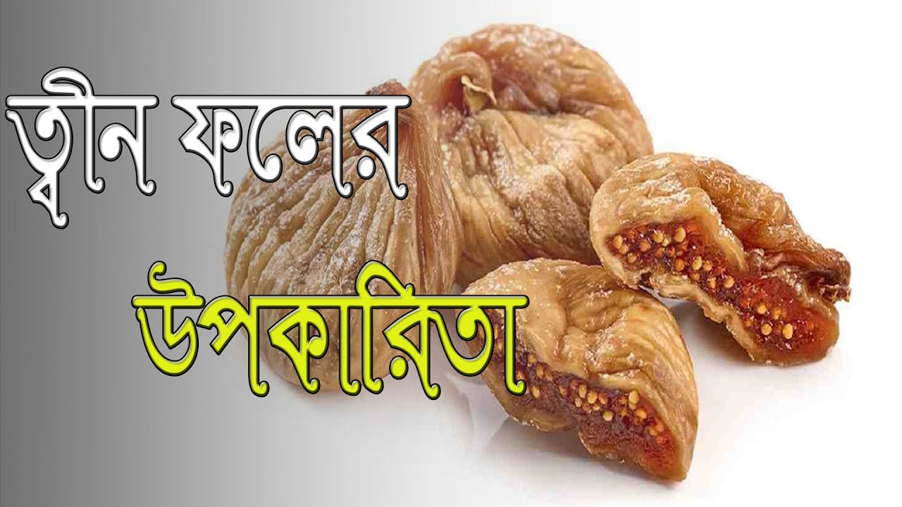 ত্বীন ফল বা আঞ্জিরের উপকারিতা ও তিন ফল খাওয়ার নিয়ম । Twin fruit । Benefits । Touch 5.0 .