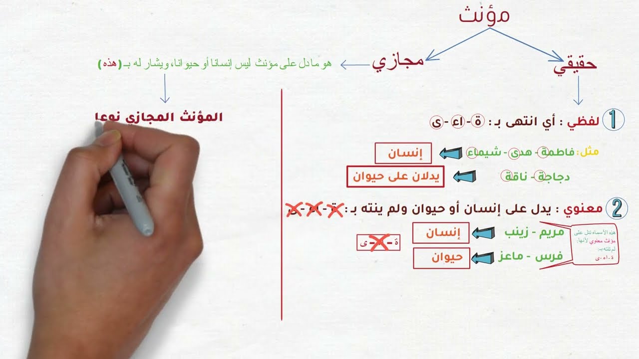 المذكر والمؤنث  للصف الأول المتوسط #المذكر_والمؤنث