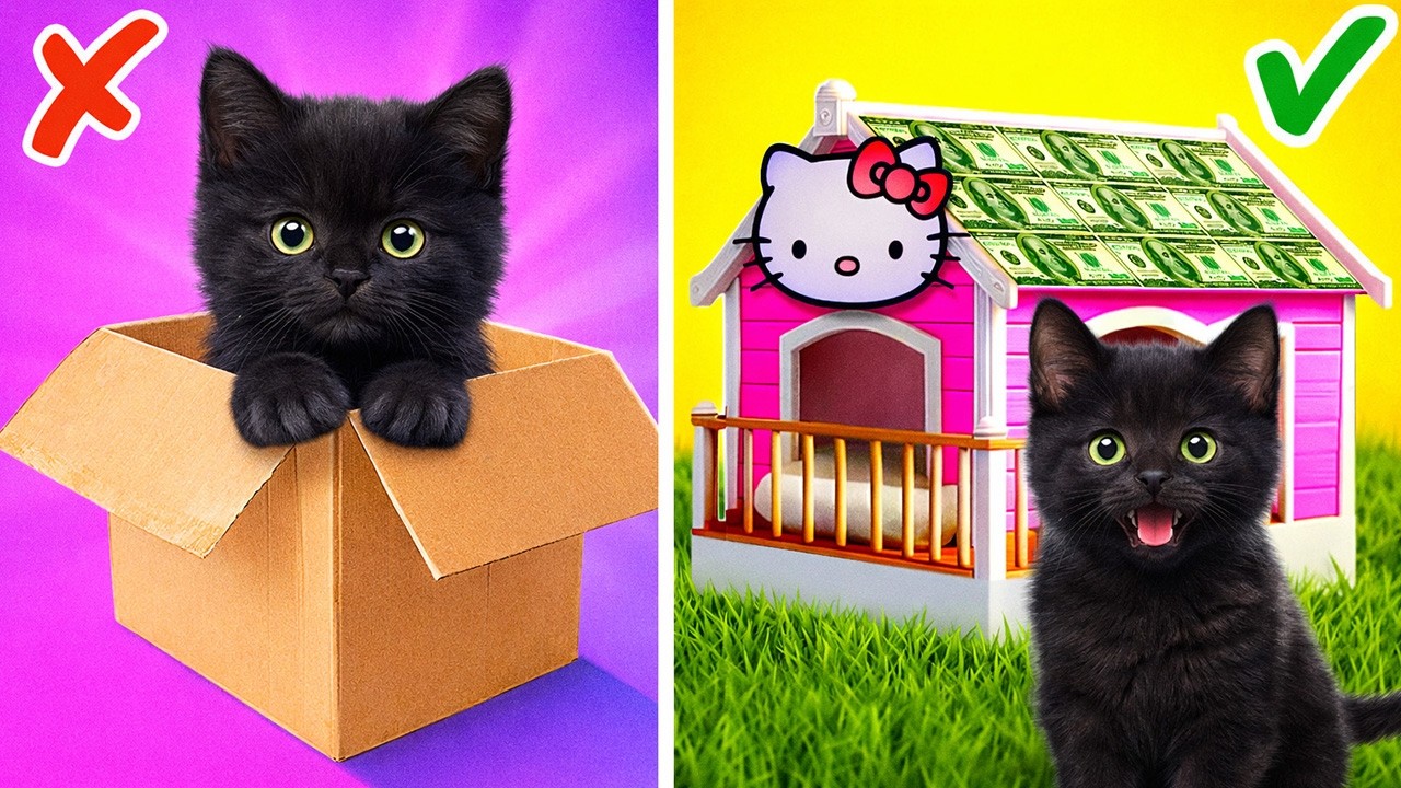 Cat Lovers 🐱🌟 Easy DIY Care Hacks & Cool Gadgets for Happy Cats by 123GO!