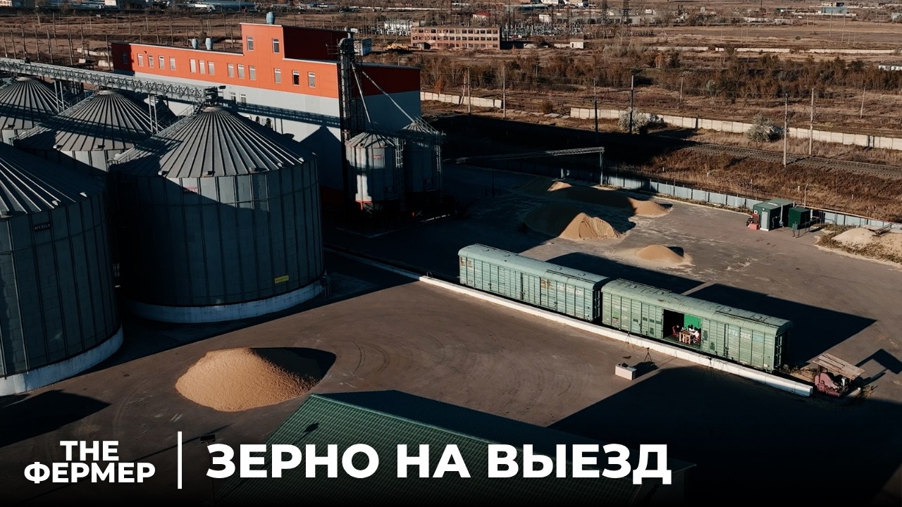 Зерно на выезд: Правда о Зерновом Рынке в Казахстане!