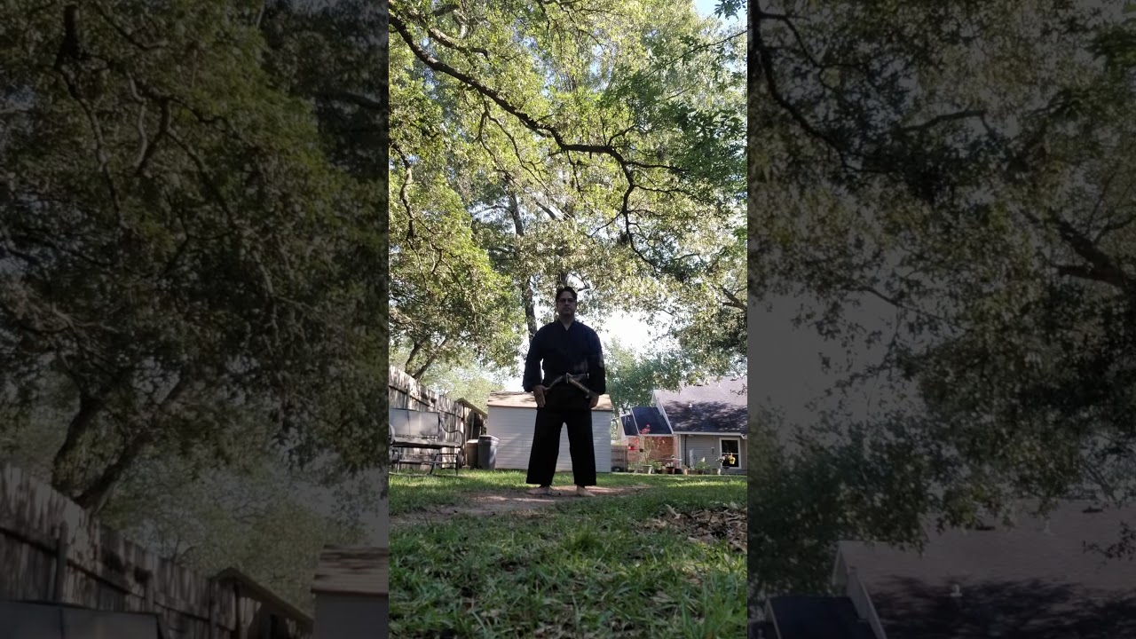 Soken sensei's Hakutsuru kata