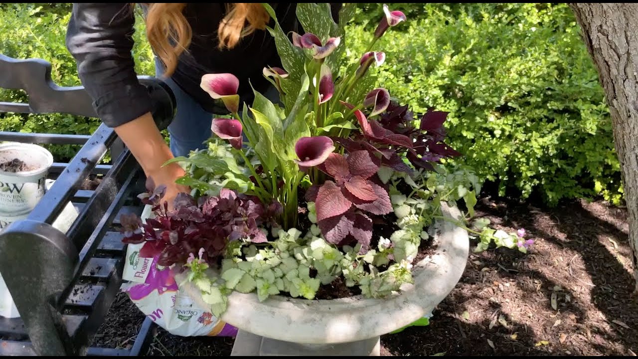 Filling Outdoor Planters with Garden Answer!
